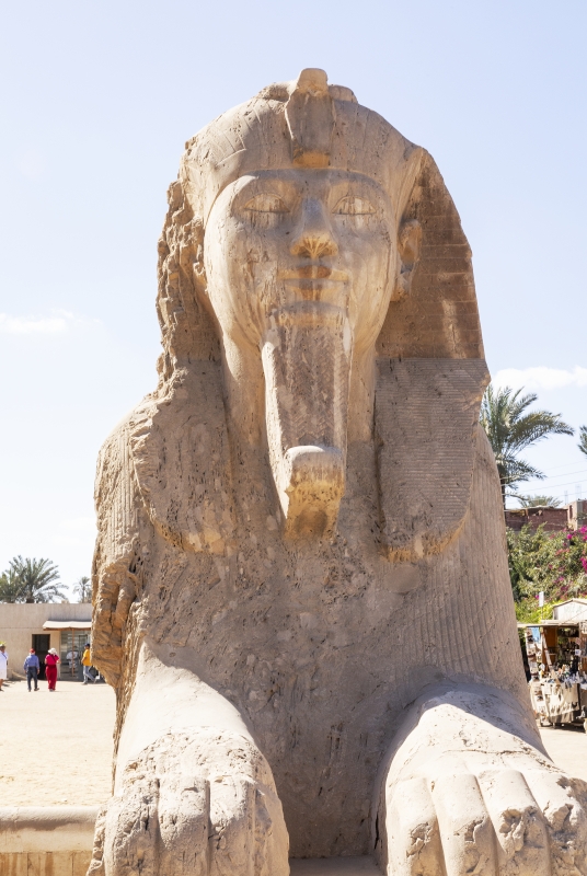 Alabaster Sphinx Complex 2023
